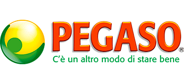 Pegaso